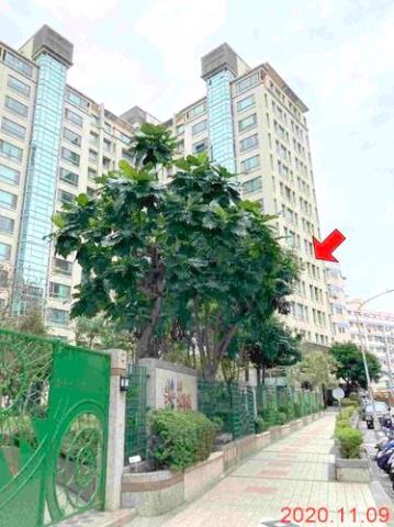 桃園法拍法拍屋-6