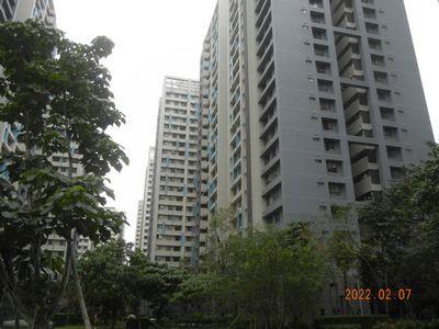 新北板橋法拍屋法拍-0