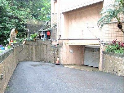 暖暖法拍屋法拍-5