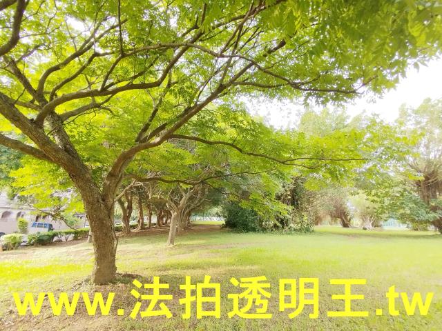 林口拍賣法拍屋-8
