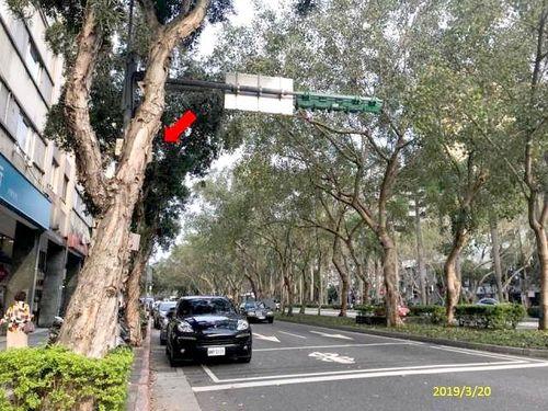 大安區法拍屋法拍-9