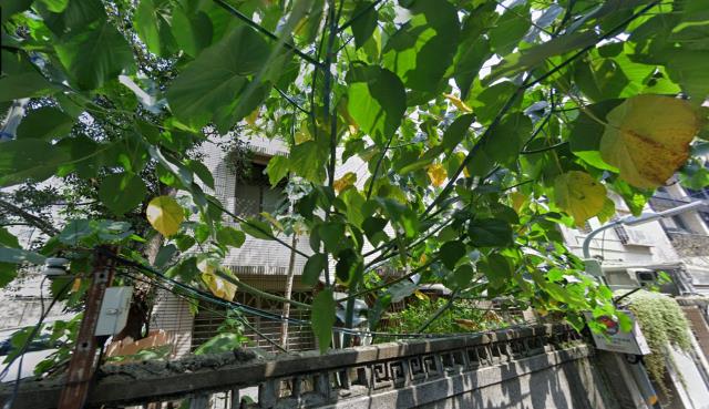 台北中正區法拍法拍屋-3