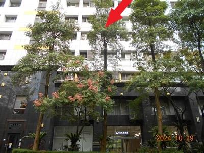 信義區拍賣法拍屋-2