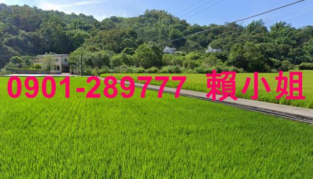 苗栗法拍屋法拍-3