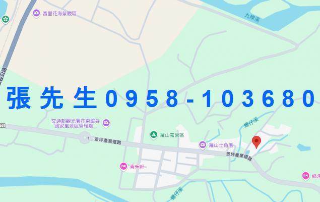 花蓮法拍屋拍賣-1