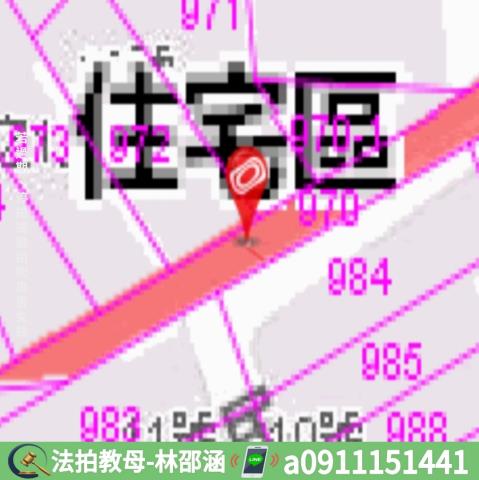 屏東枋寮法拍法拍屋-8