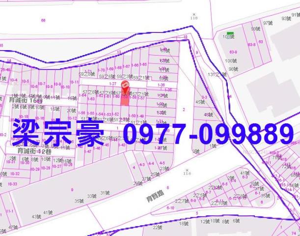 太平法拍屋法拍-3