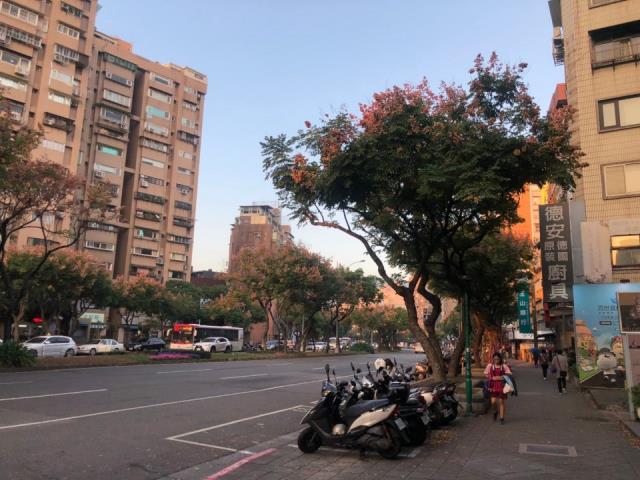 台北士林法拍屋法拍-2