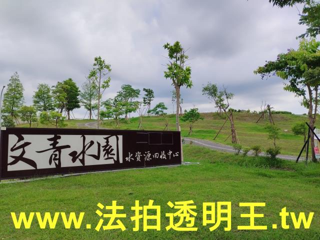 龜山法拍屋法拍-8