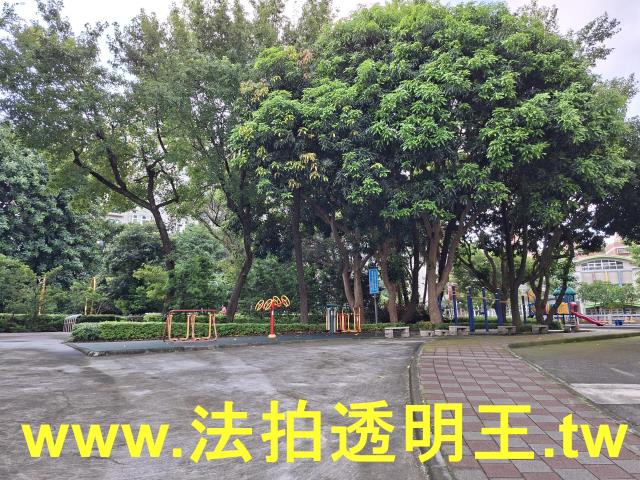 新北五股法拍法拍屋-3