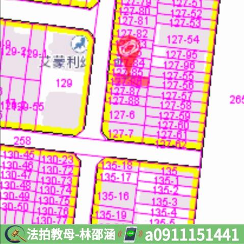 台南安平法拍屋法拍-7