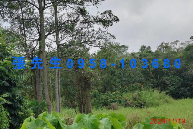 台南拍賣法拍屋-8