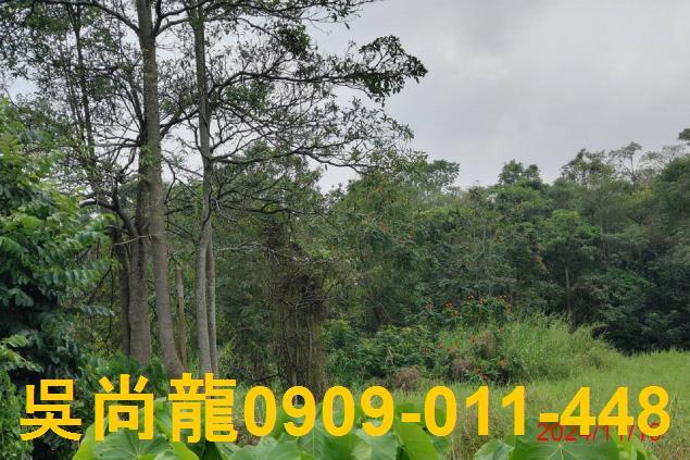 台南法拍法拍屋-7