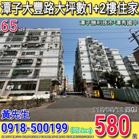 台中潭子法拍屋拍賣-0