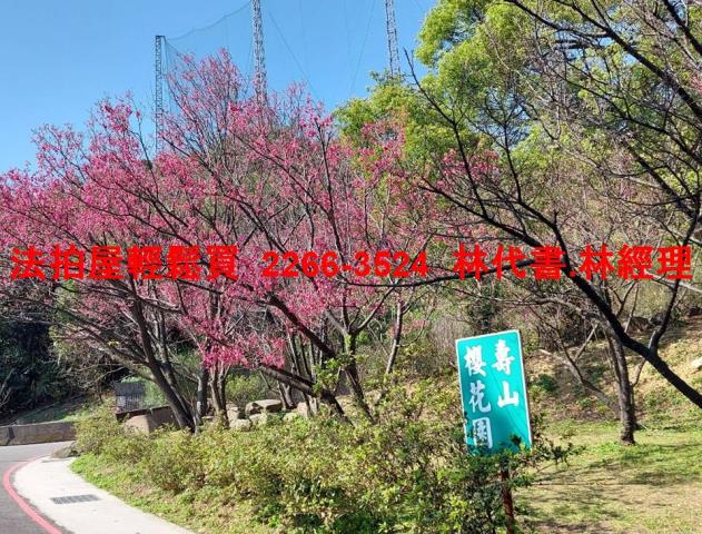 龜山法拍屋法拍-9