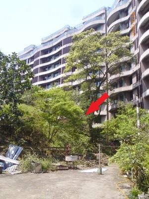 新北汐止法拍屋法拍-5