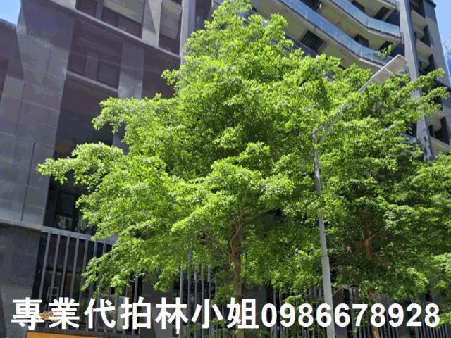 新莊法拍法拍屋-2