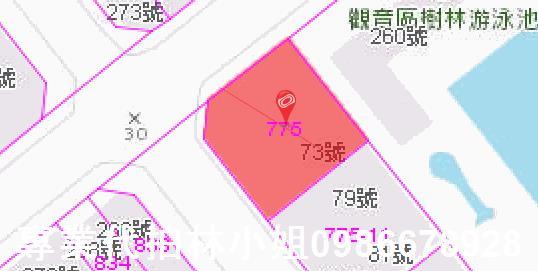桃園觀音法拍法拍屋-3