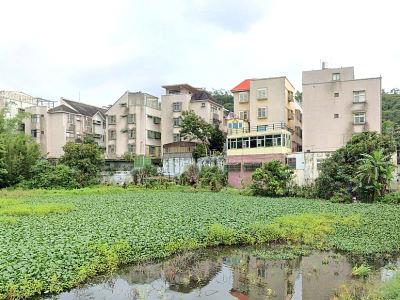 龍潭法拍屋法拍-1