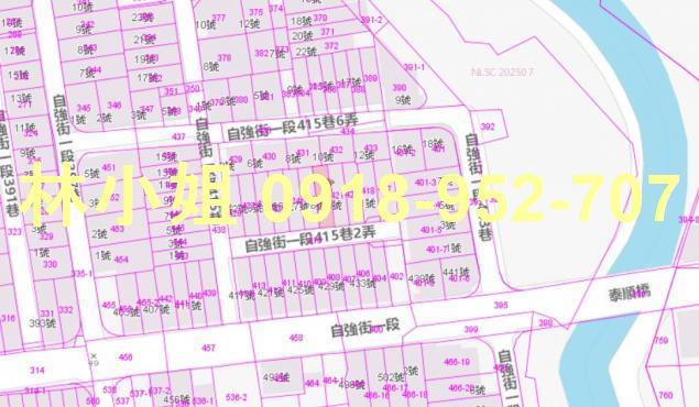 美濃拍賣法拍屋-4