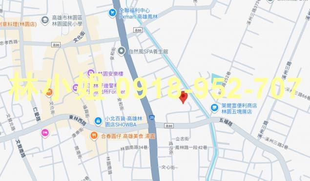 高雄林園法拍法拍屋-3