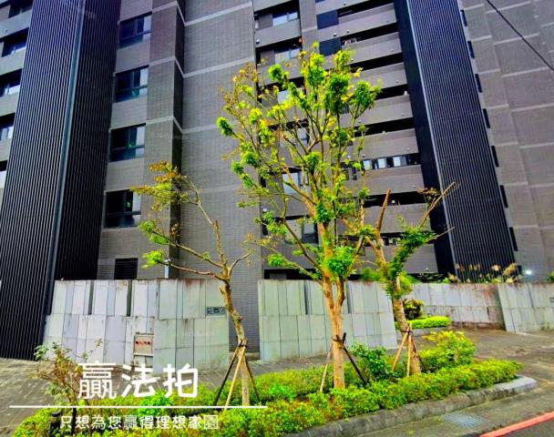 新店法拍屋拍賣-2