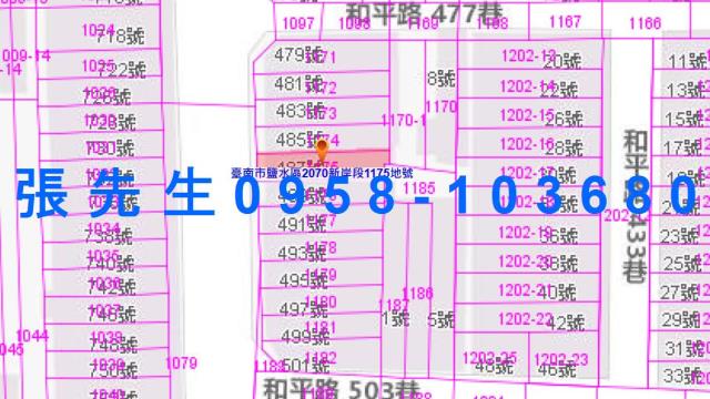 台南鹽水法拍屋法拍-4