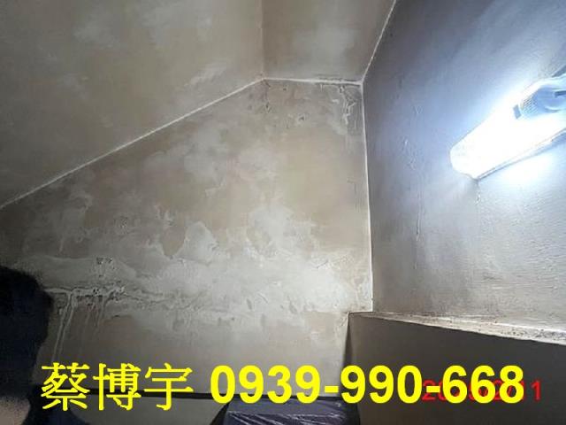 埔里法拍樹人二街透天