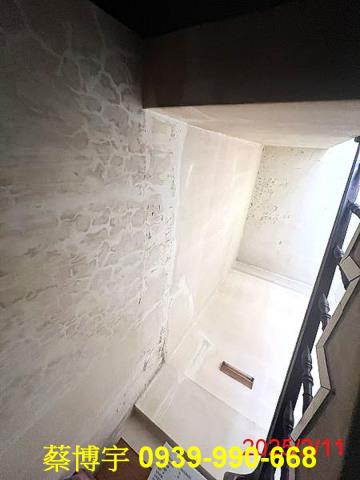 埔里法拍樹人二街透天