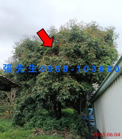 嘉義竹崎拍賣法拍屋-5