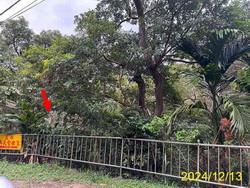 台北法拍屋法拍-6