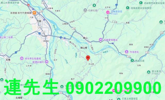 橫山法拍屋法拍-6