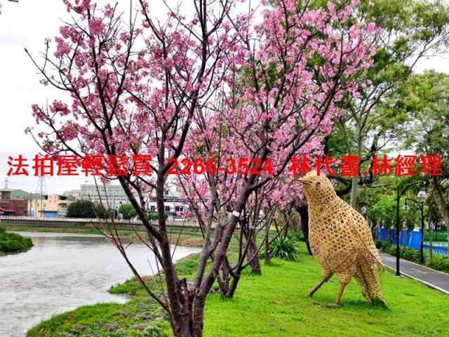 蘆竹法拍屋拍賣-9