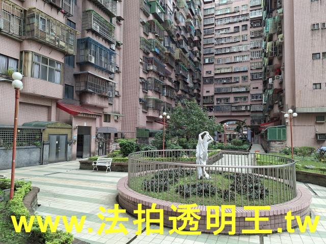 新北樹林法拍屋法拍-9