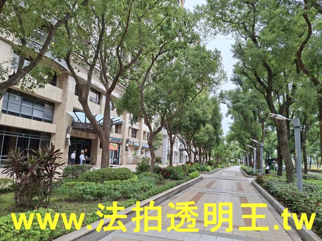 新北樹林法拍屋法拍-2