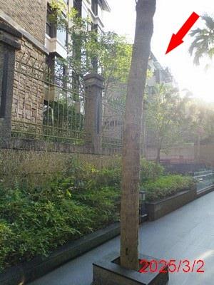 文山區拍賣法拍屋-4