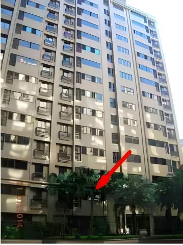 新北樹林法拍法拍屋-1