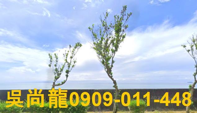 台東成功法拍屋法拍-7