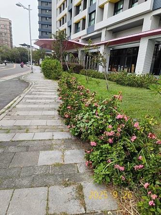 竹東法拍法拍屋-5