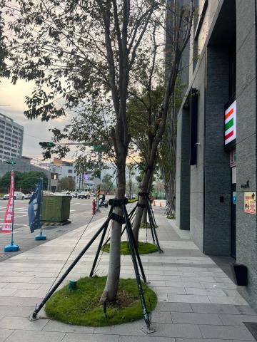 三民區法拍法拍屋-3