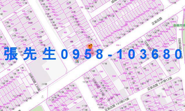 台東台東市法拍法拍屋-2