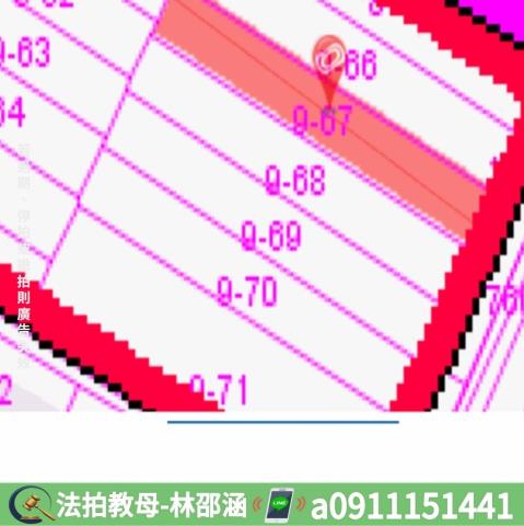 高雄林園拍賣法拍屋-6