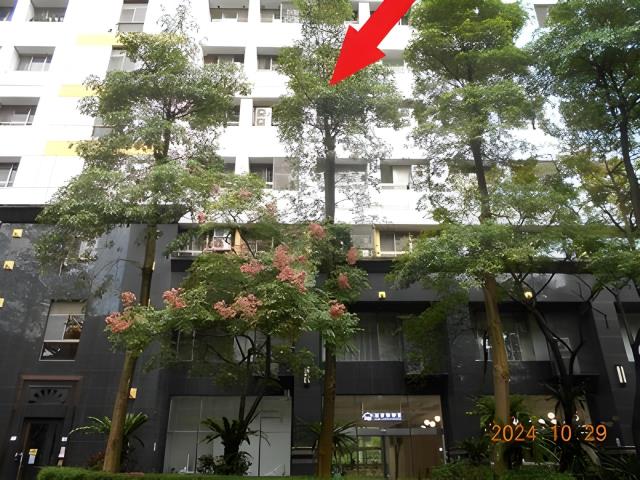 士林區忠勇街40巷郭氏林氏新建大樓