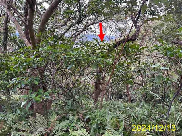 台北士林法拍屋拍賣-7