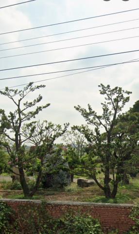 鹽水法拍法拍屋-10