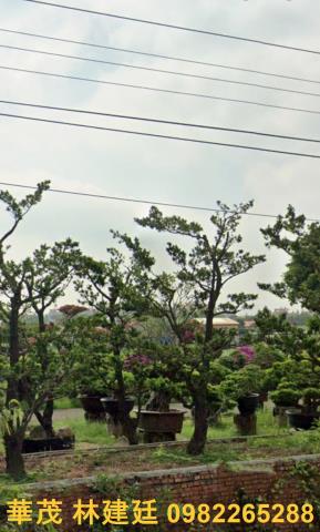 鹽水法拍法拍屋-4