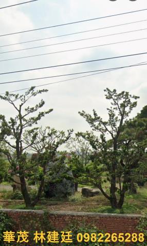 鹽水法拍法拍屋-5