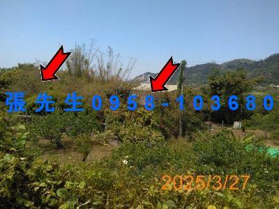 台中豐原法拍法拍屋-1