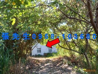 台中豐原法拍法拍屋-3