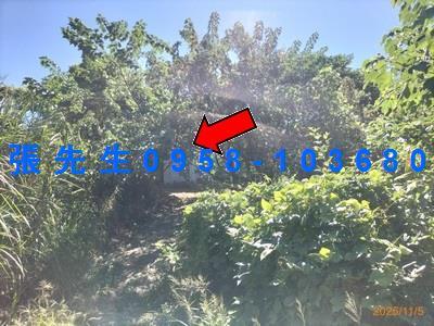 台中豐原法拍法拍屋-4